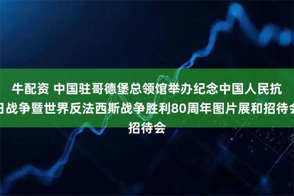 牛配资 中国驻哥德堡总领馆举办纪念中国人民抗日战争暨世界反法西斯战争胜利80周年图片展和招待会