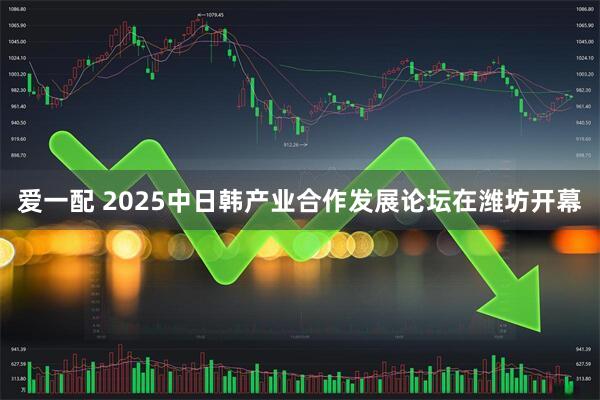 爱一配 2025中日韩产业合作发展论坛在潍坊开幕