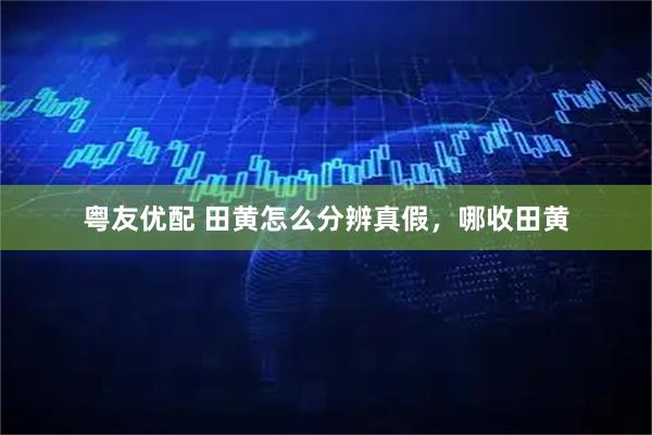 粤友优配 田黄怎么分辨真假，哪收田黄
