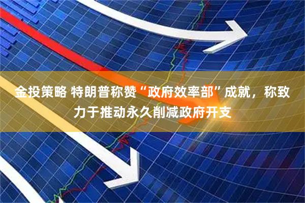 金投策略 特朗普称赞“政府效率部”成就，称致力于推动永久削减政府开支