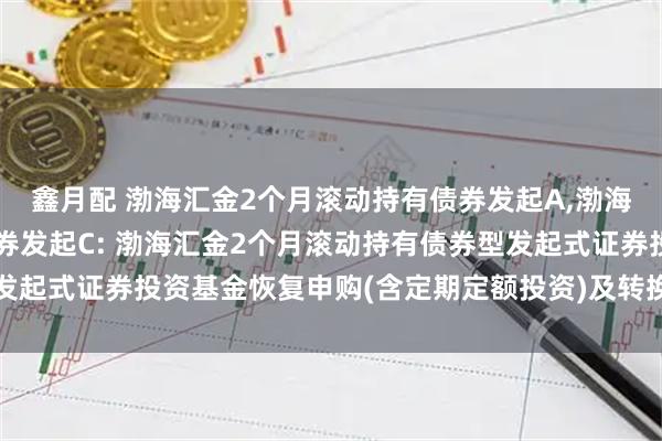 鑫月配 渤海汇金2个月滚动持有债券发起A,渤海汇金2个月滚动持有债券发起C: 渤海汇金2个月滚动持有债券型发起式证券投资基金恢复申购(含定期定额投资)及转换转入业务的公告