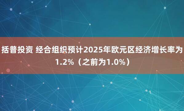 括普投资 经合组织预计2025年欧元区经济增长率为1.2%（之前为1.0%）