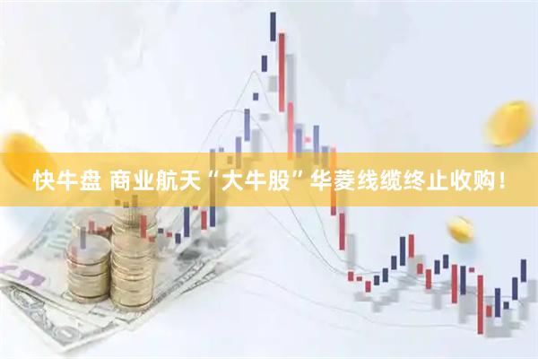 快牛盘 商业航天“大牛股”华菱线缆终止收购！
