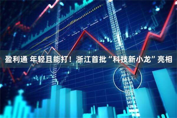 盈利通 年轻且能打！浙江首批“科技新小龙”亮相