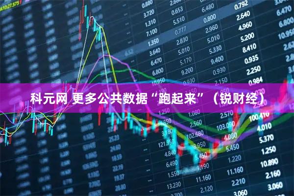 科元网 更多公共数据“跑起来”（锐财经）